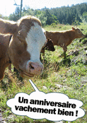 Une f&ecirc;te pleine de vaches et de rires !
